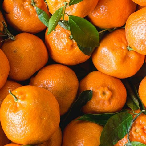 Volume 1: The Importance of Hydrating Your Facial Skin