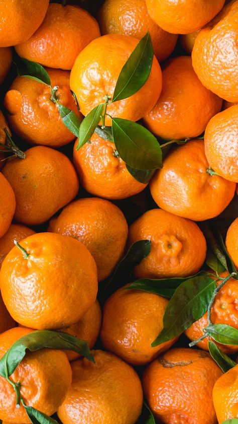 Volume 1: The Importance of Hydrating Your Facial Skin