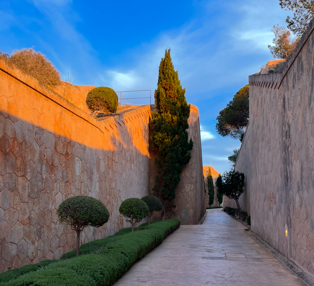 Where It All Began: Cap Rocat, Sóller, and the Soul of Solsoller